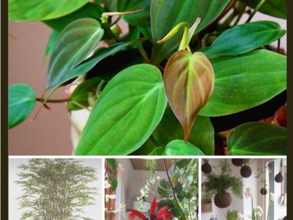 Fra hvert hjørne…